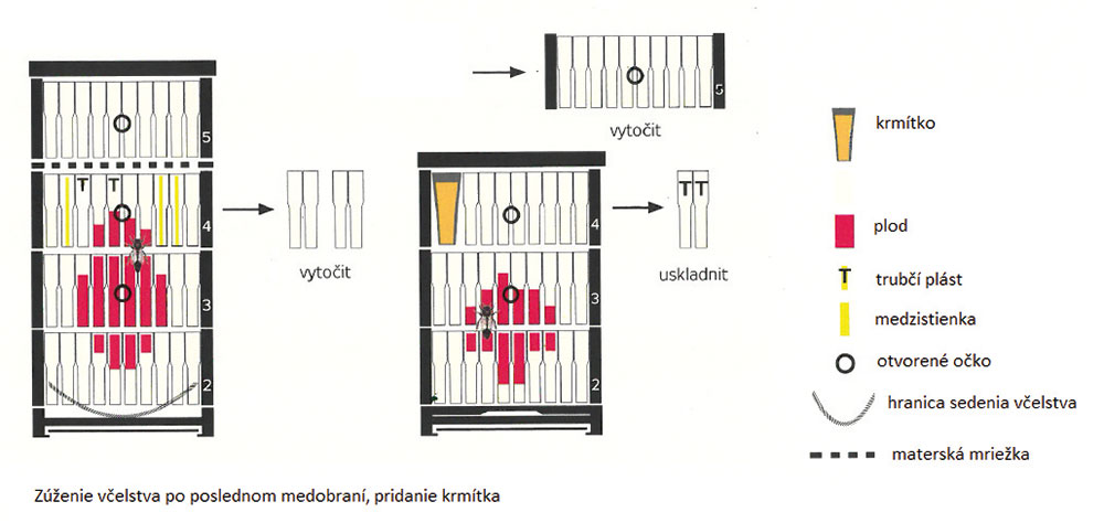 01 JaroslavPizlIng ZuzenieVcelstva