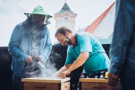 chov a starostlivosť o včely