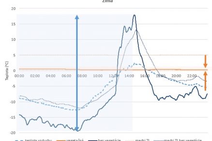 Teplotný priebeh zimný deň