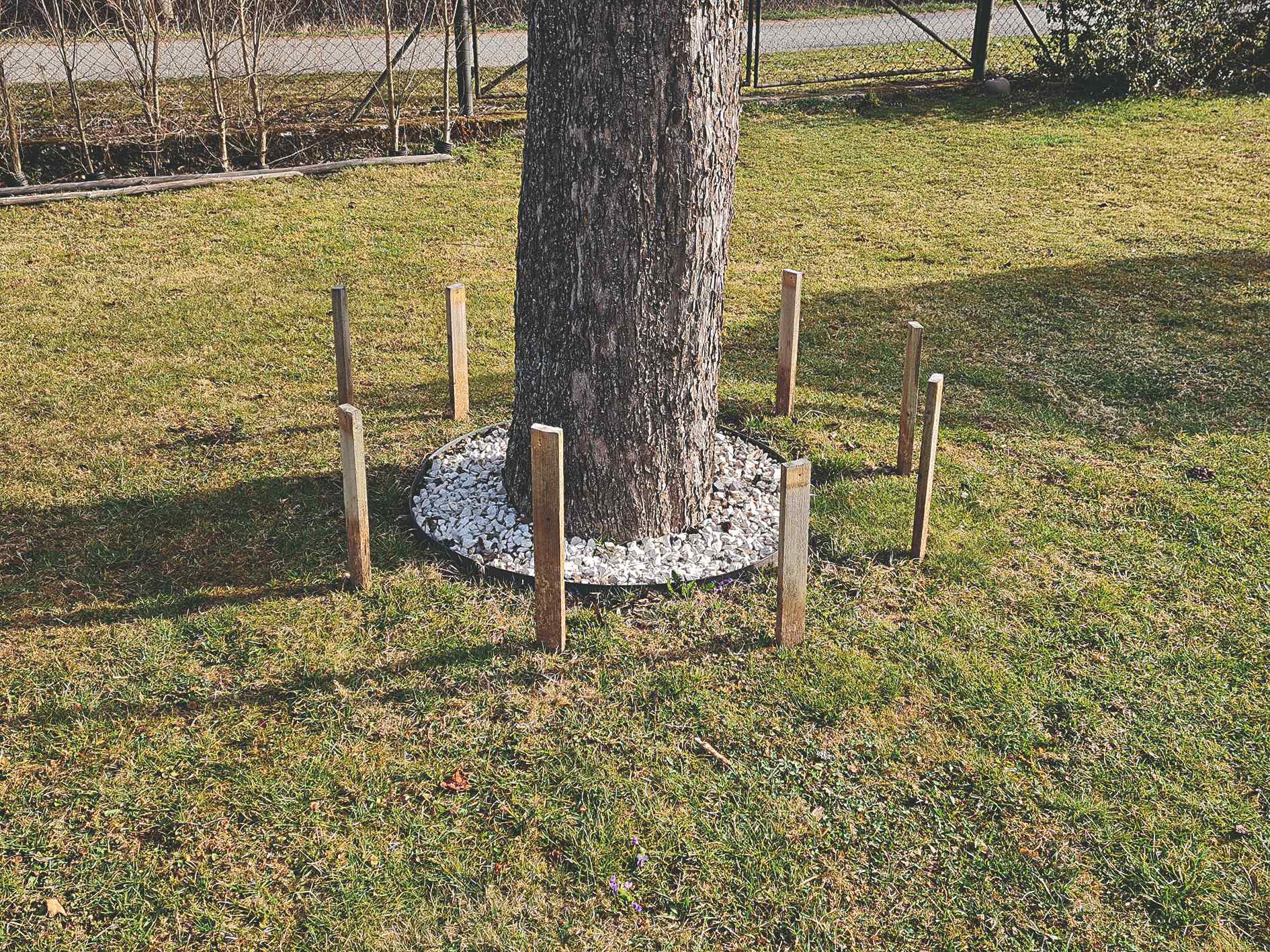 Okolo stromu rozložte drevené kolíky, pomocou ktorých ľahko zistíte, koľko materiálu budete na kruhovú lavičku potrebovať.