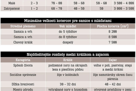 Králikáreň v záhrade