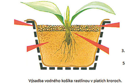 Pestovanie v skleníku