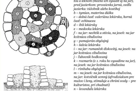 výsadba byliniek